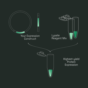 Workflow diagram: your expression construct plus CFPS Premium lysate and reagent mix combine in a single tube for highest-yield protein expression.