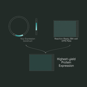 Workflow diagram: your expression construct added to a Reaction-Ready 384-well CFPS plate for highest-yield protein expression.