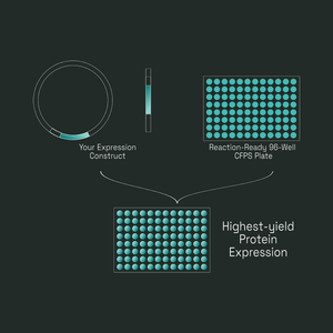 Workflow diagram: your expression construct added to a Reaction-Ready 96-well CFPS plate for highest-yield protein expression.