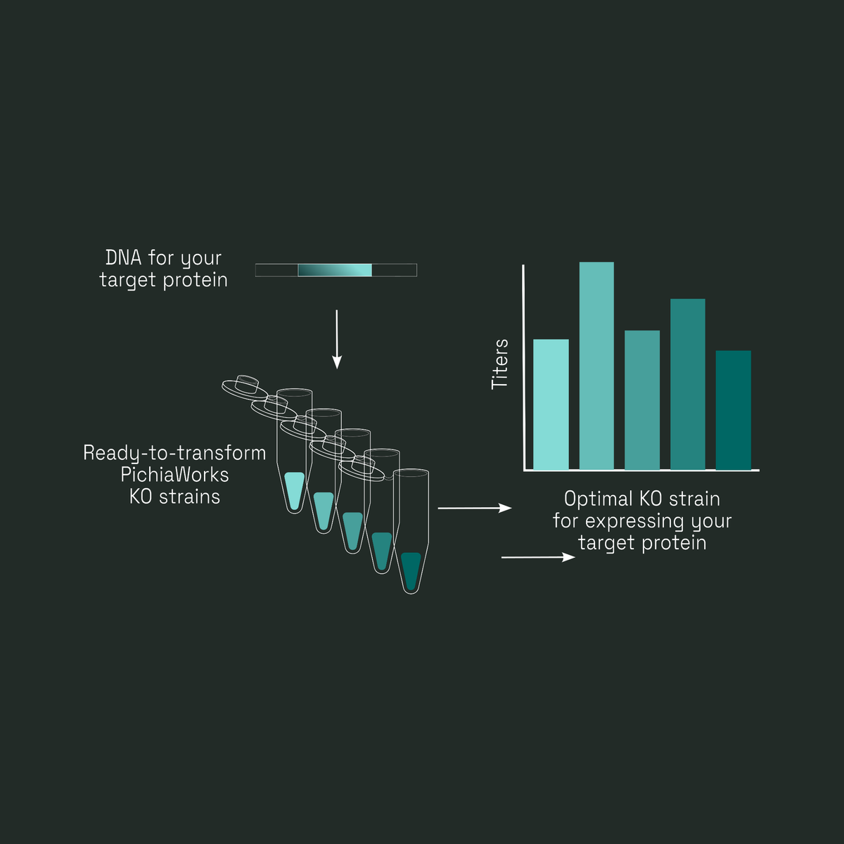 Workflow diagram: DNA for your target protein screened across ready-to-transform PichiaWorks KO strains, with a bar chart identifying the optimal strain by titer.